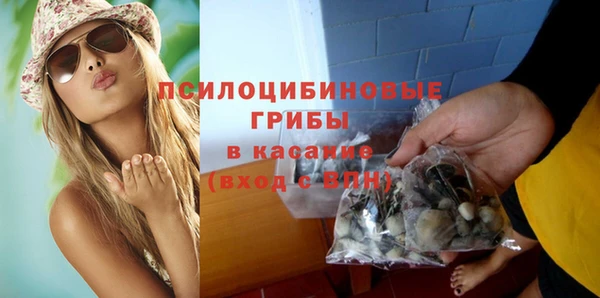 ECSTASY Инсар