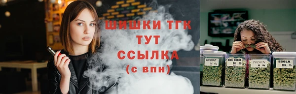 шишки Каменка