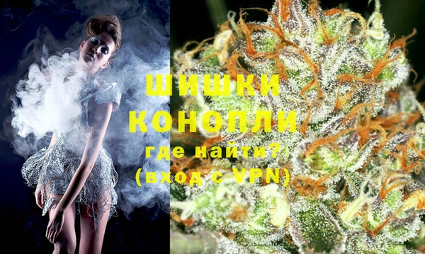 гашик Инта