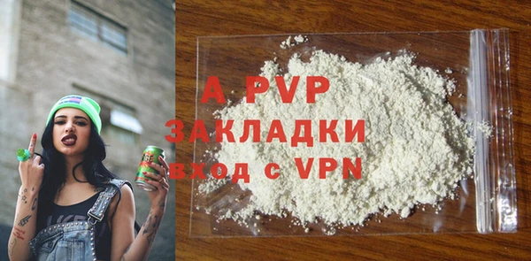 гашик Инта