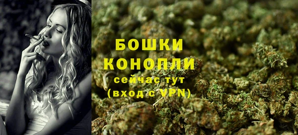гашик Инта