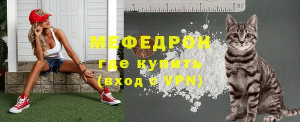 гашик Инта