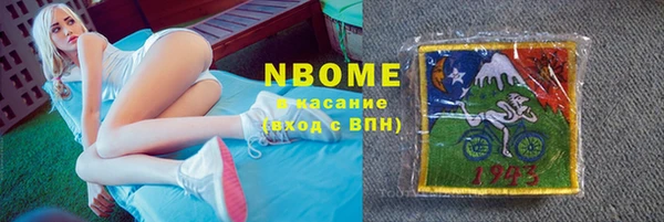 гашик Инта