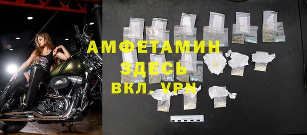 гашик Инта