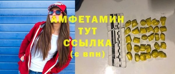 гашик Инта