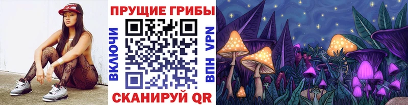 Купить где  Заволжье  Галлюциногенные грибы MAGIC MUSHROOMS 